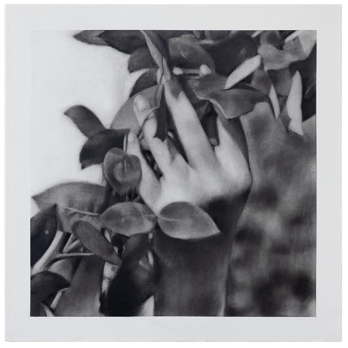 THIS IS NOT A LOVE STORY50 x 50 cmcharcoal / canvas2025